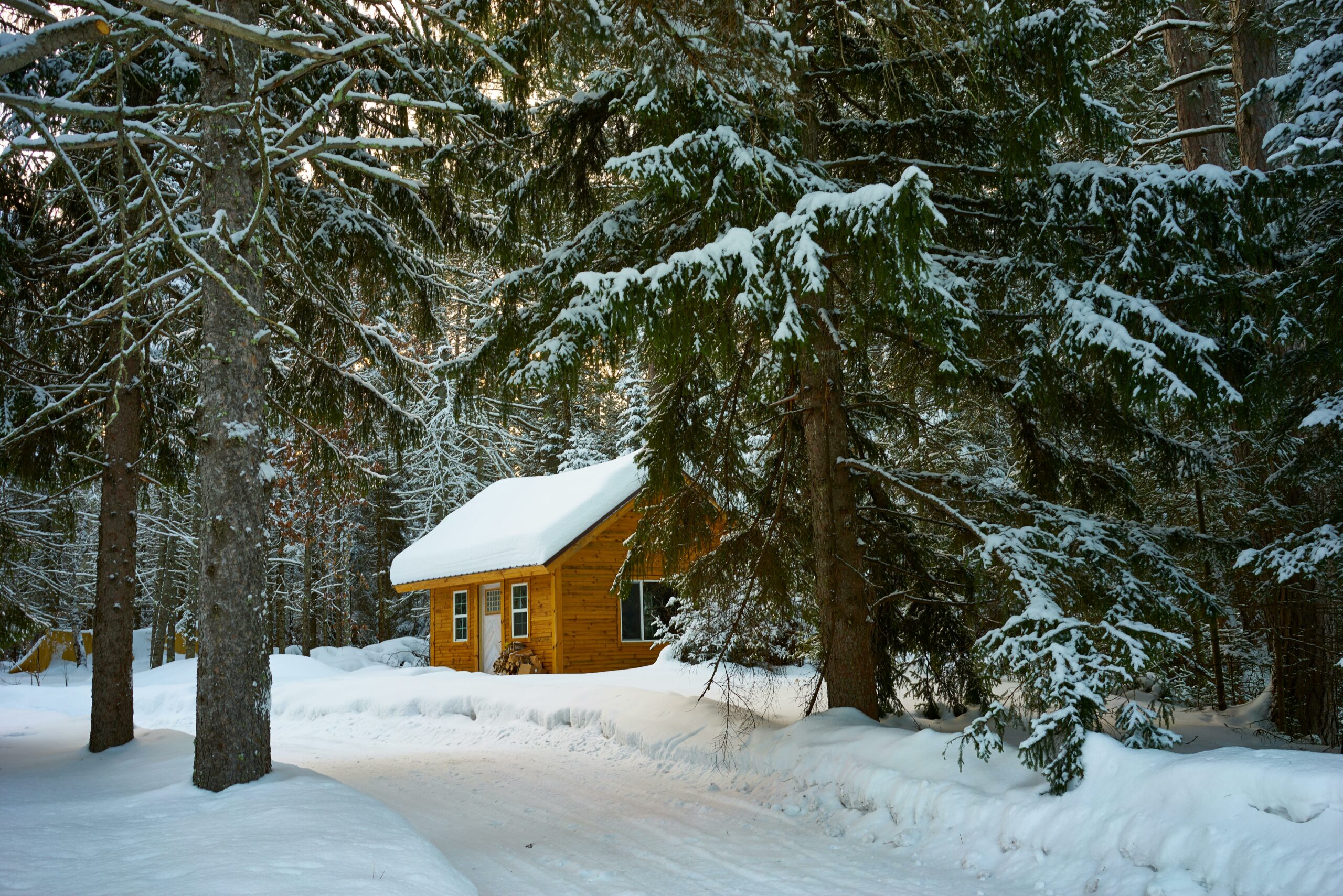 A quanit wooden cabin with snow on the roof in the woods with a plowed driveway in front with flocked trees surrounding it